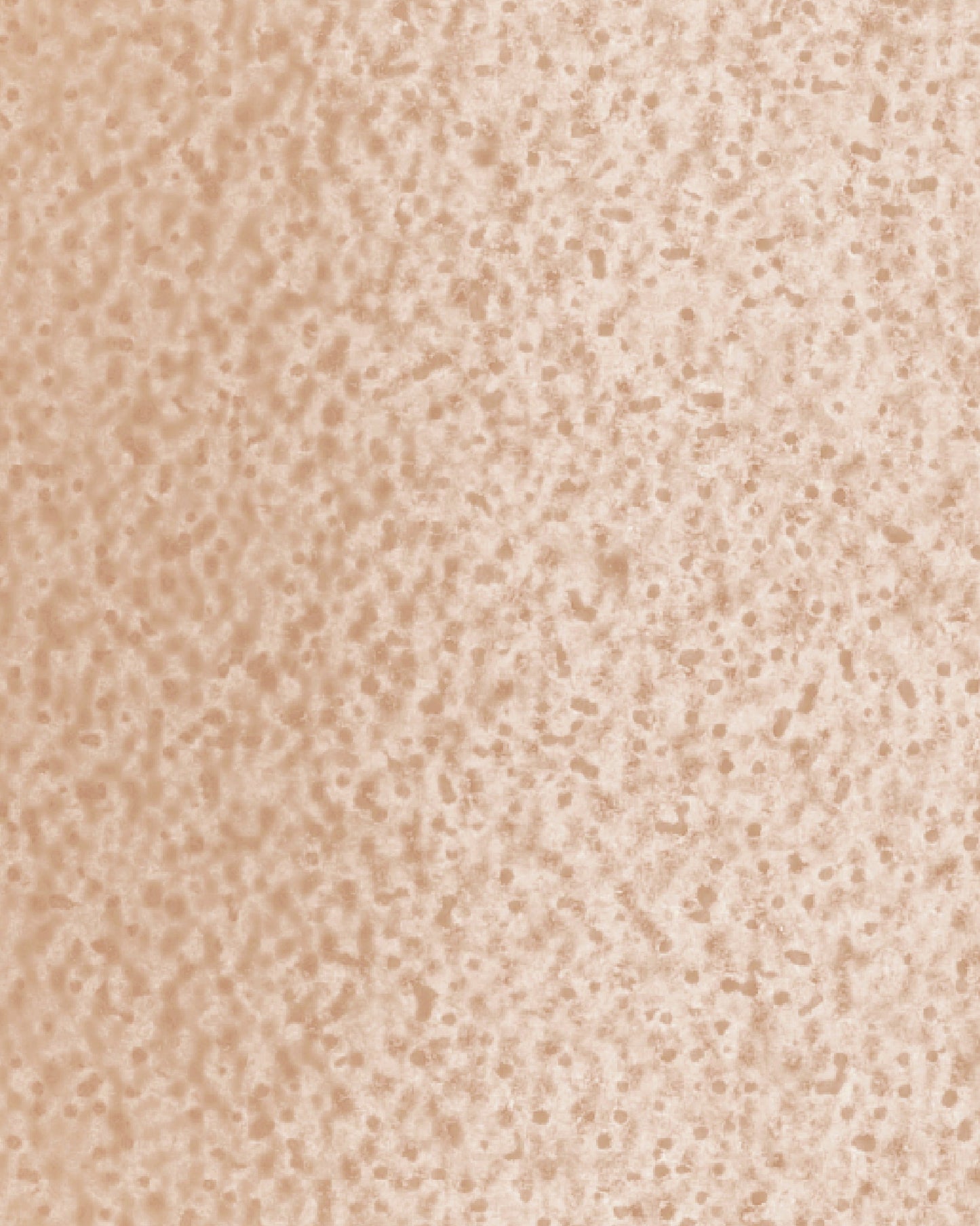 The Dewy Day Recarga