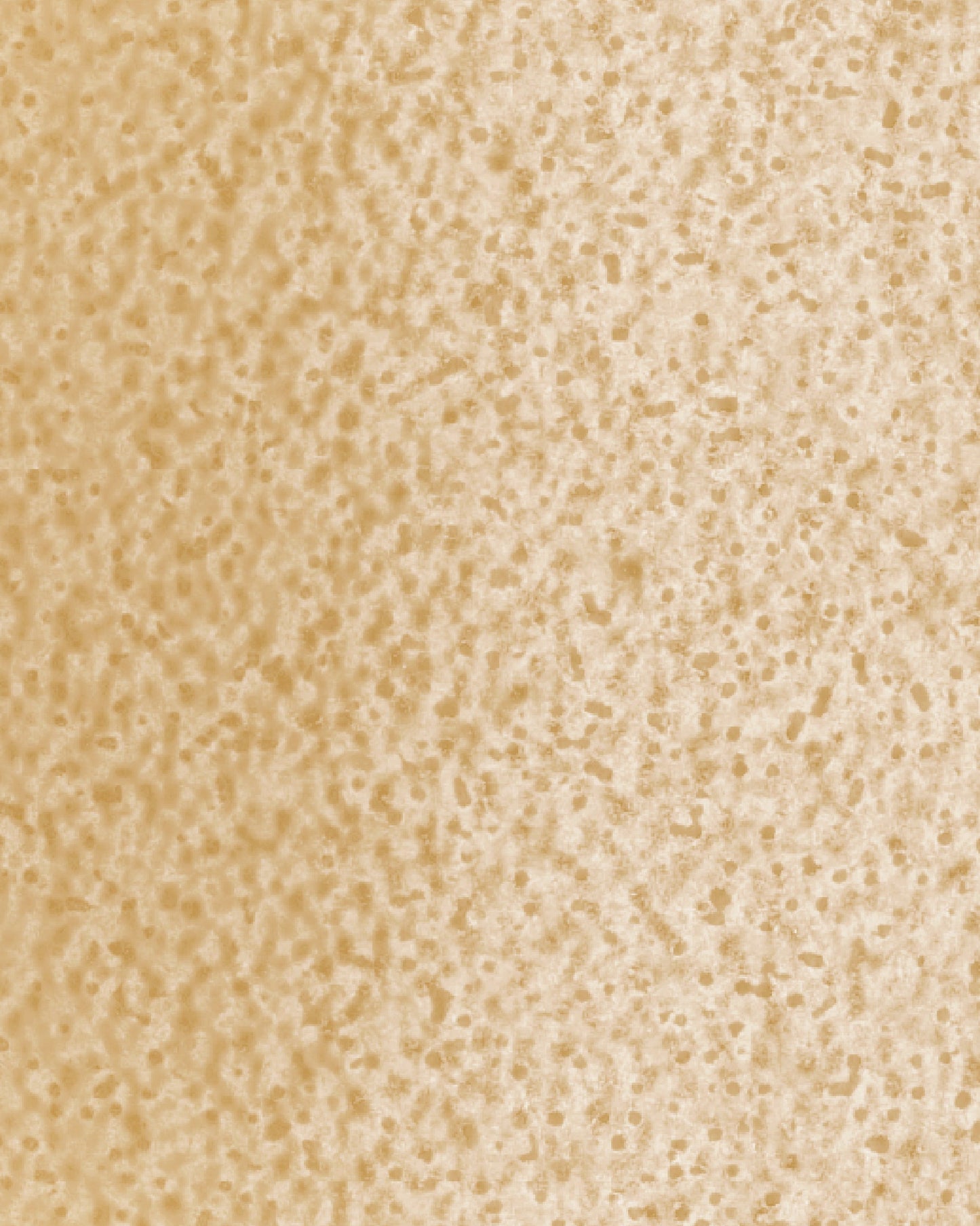 The Dewy Day Recarga