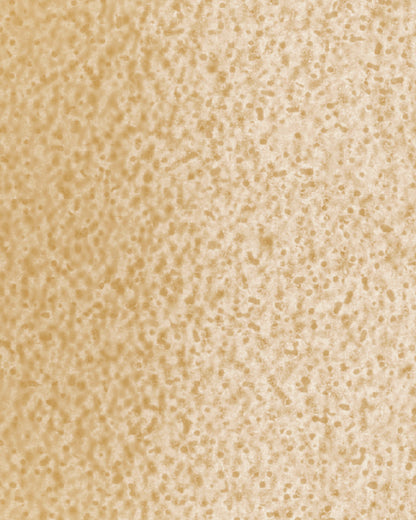 The Dewy Day Recarga