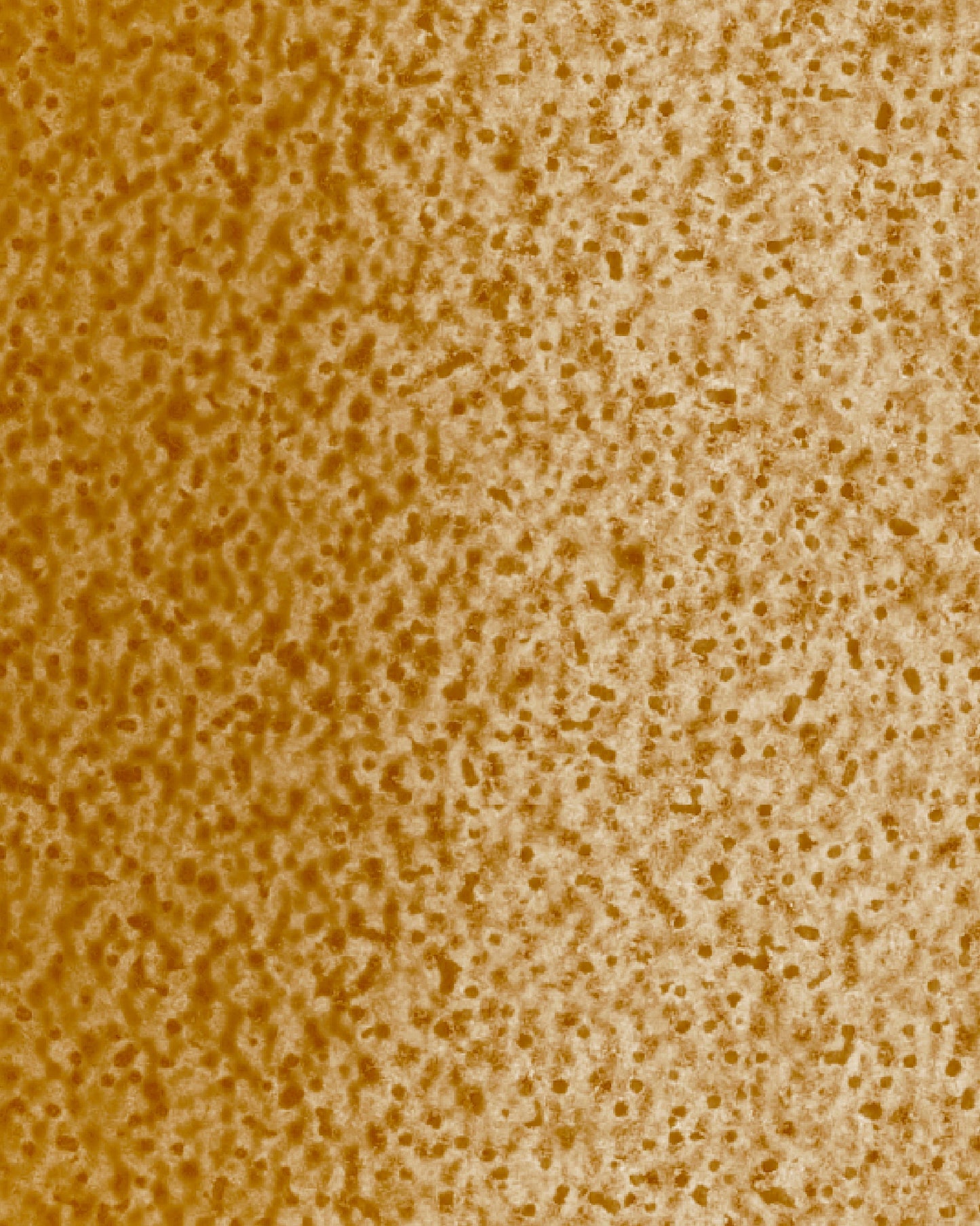 The Dewy Day Recarga