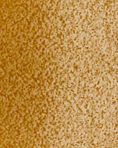 The Dewy Day Recarga