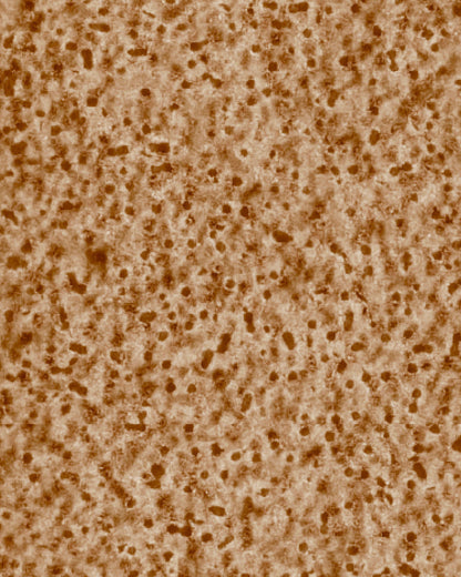 The Dewy Day Recarga