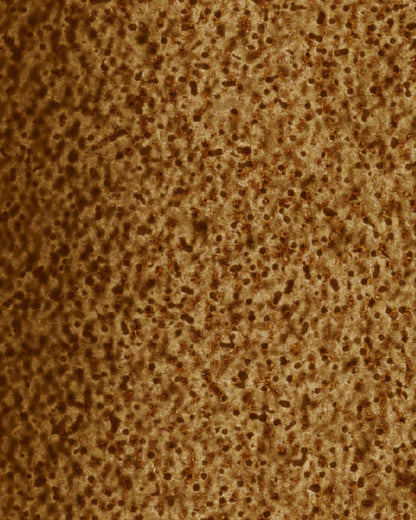 The Dewy Day Recarga