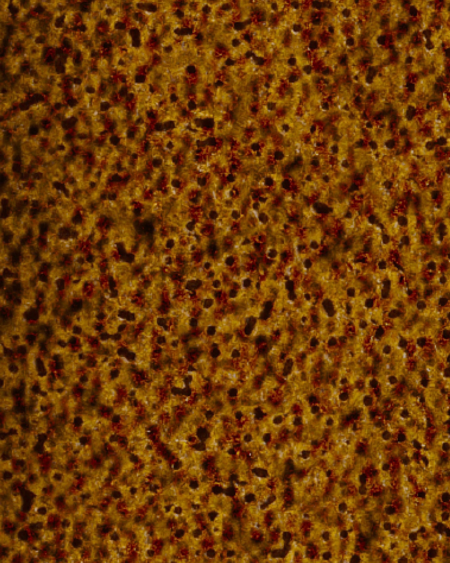 The Dewy Day Recarga