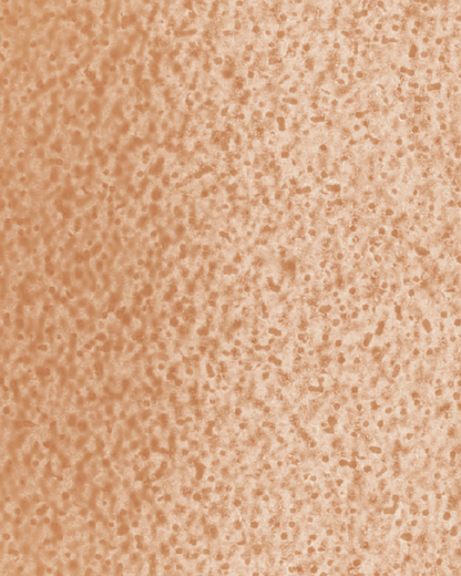 The Dewy Day Recarga