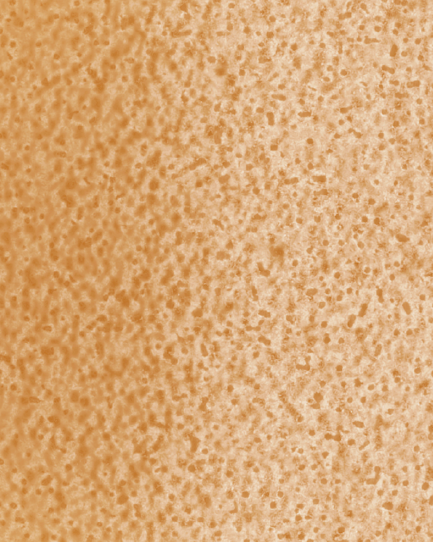 The Dewy Day Recarga