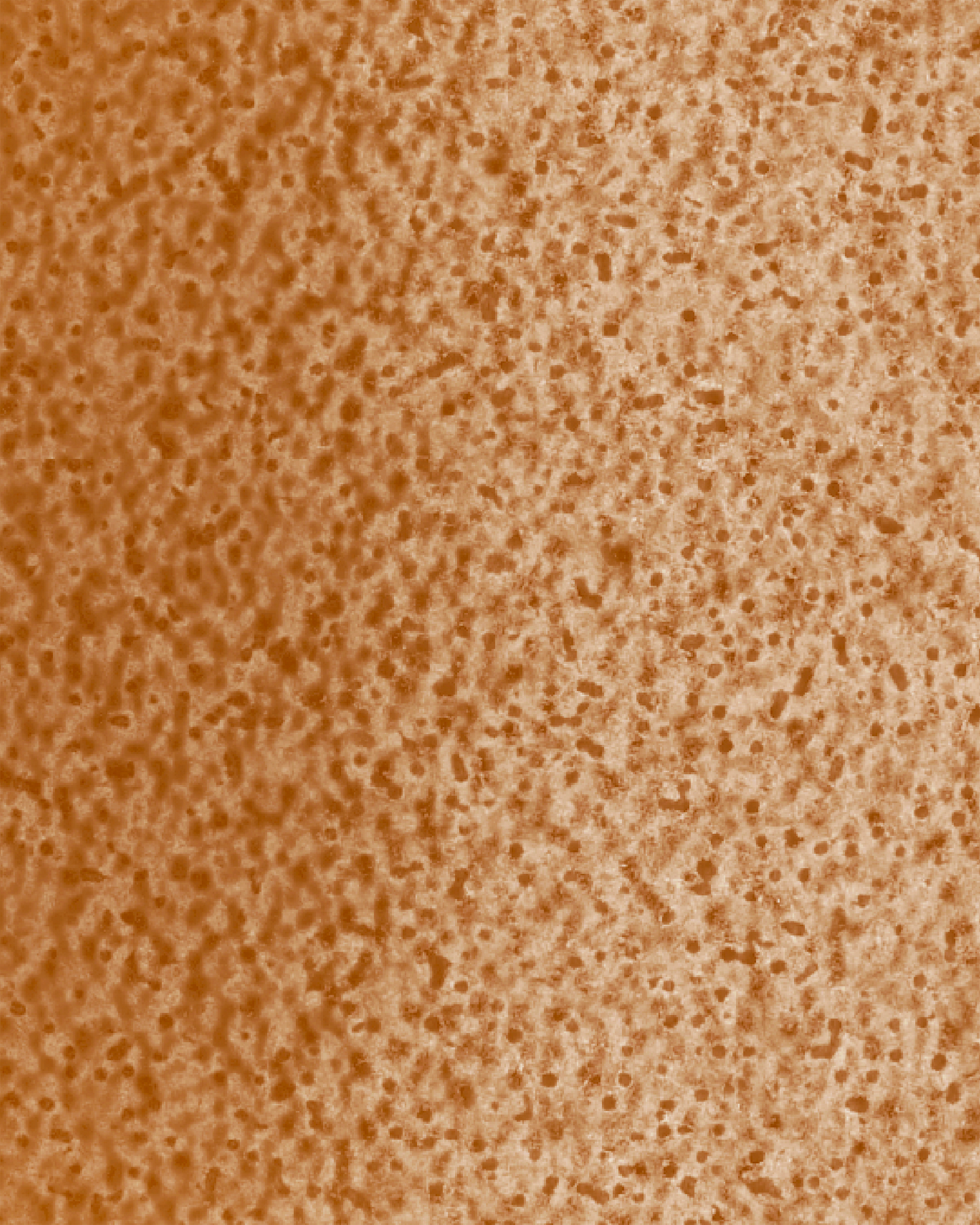 The Dewy Day Recarga