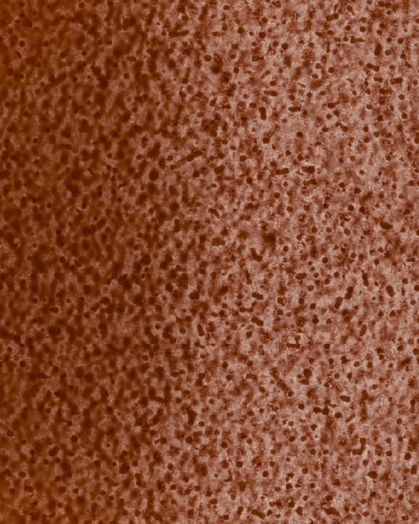 The Dewy Day Recarga