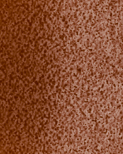 The Dewy Day Recarga