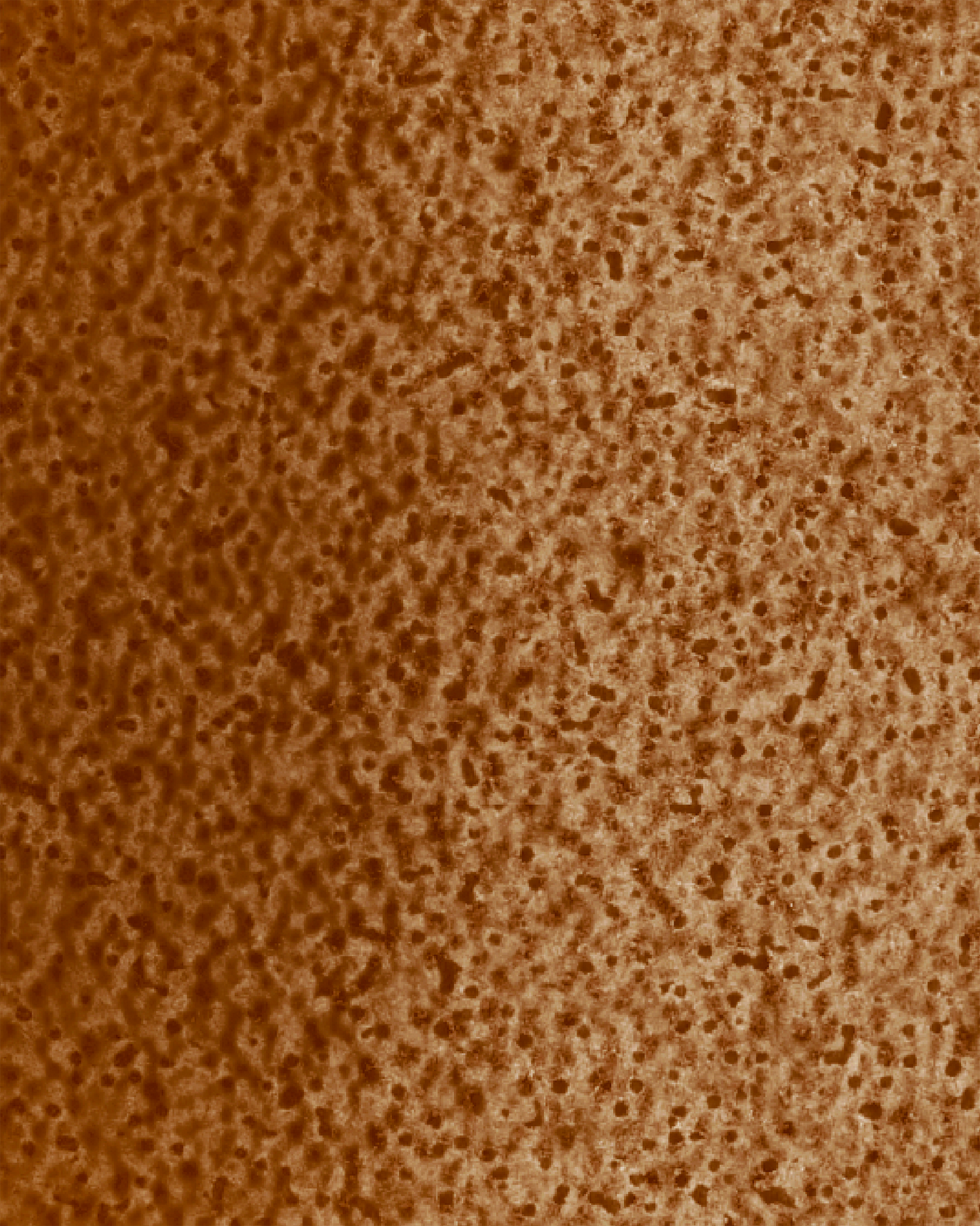 The Dewy Day Recarga