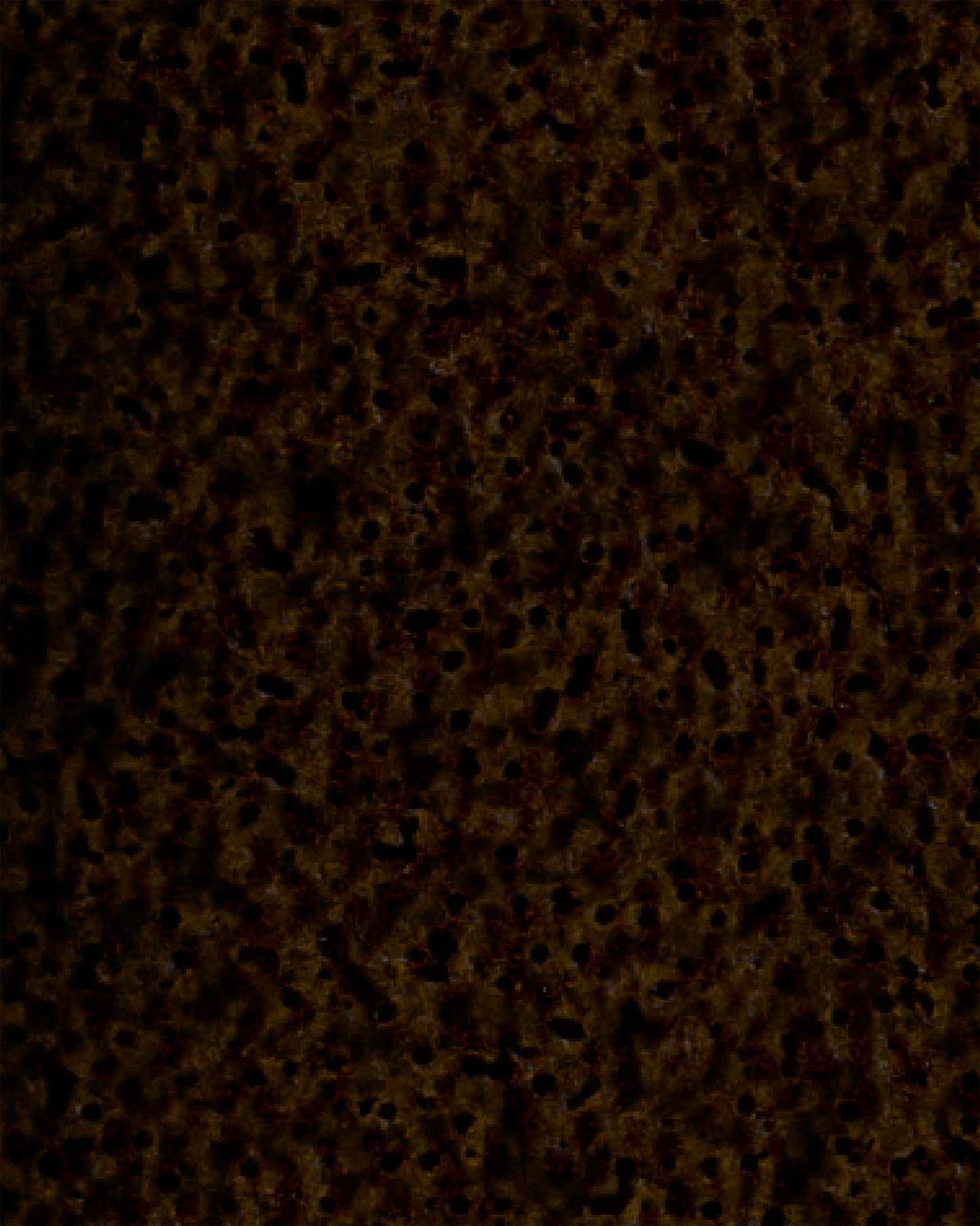 The Dewy Day Recarga